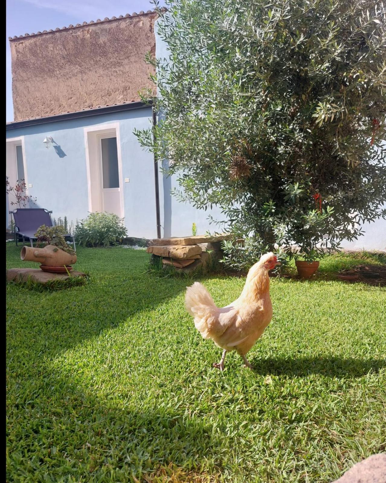 B&B Il Borgo Delle Emozioni Dolianova Exterior photo